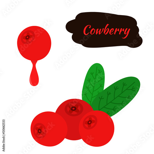 Cowberry, lingonberry in flat style. Sweet red forest berry. Cranberry