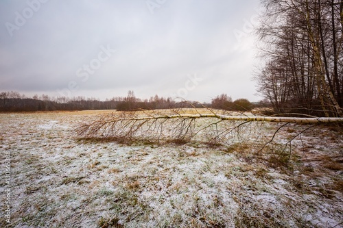 Wallpaper Mural Bad weather winter meadow landscape Torontodigital.ca