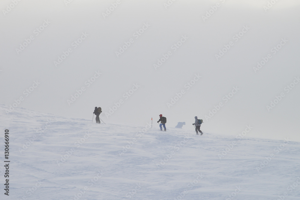 Group of people hiking in winter mountains during a snow storm
