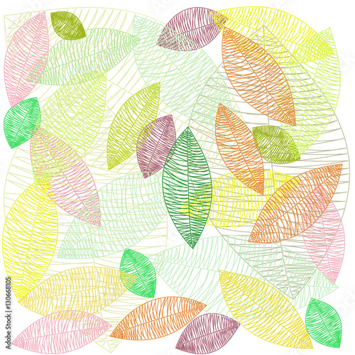 Vector leaves on a white background