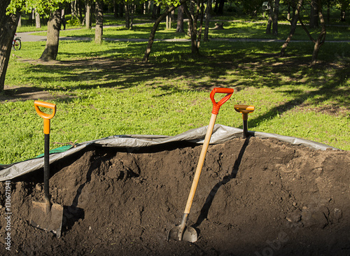 Landscape gardening in the city park