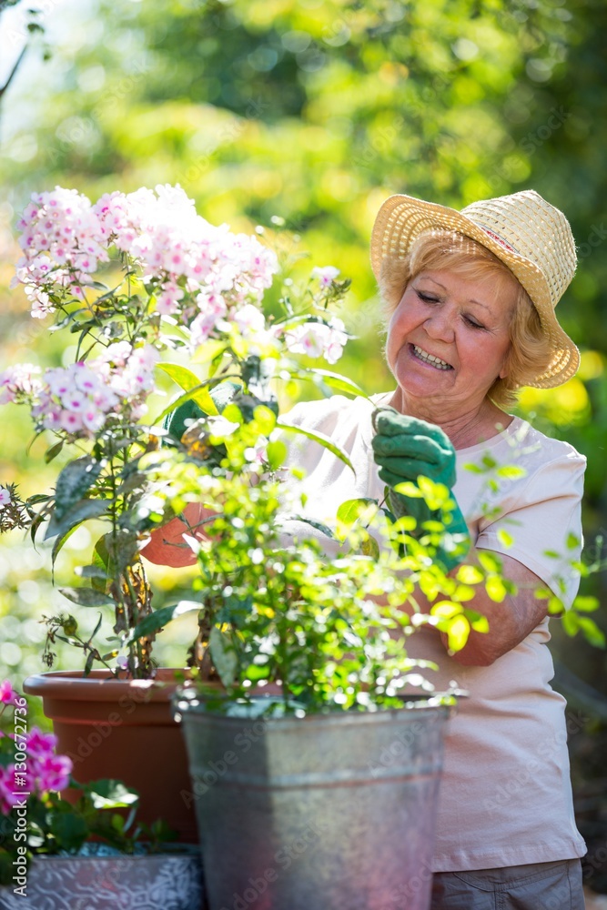 Senior woman examining flowers in garden