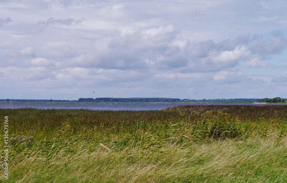 Grasfeld an der Ostseeküste von Rügen