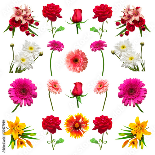 Collection flowers isolated on white background