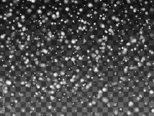 Falling snowflakes isolated on transparent background. Vector illustration