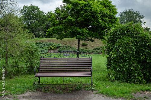 bench in the park in summer