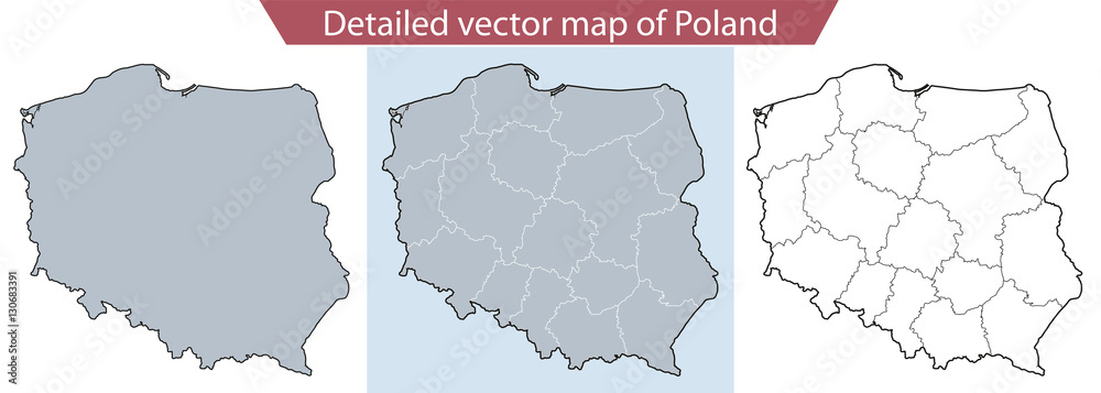Fototapeta Szczegółowa mapa wektorowa Polski