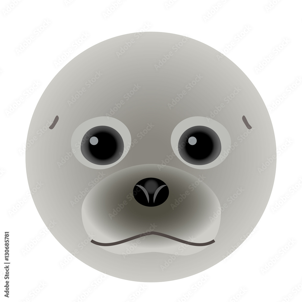 Fototapeta premium アザラシ