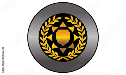 Public Safety Professional