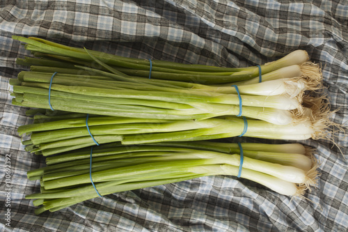 bunches of green onions, sometimes called long onions or scalions photo