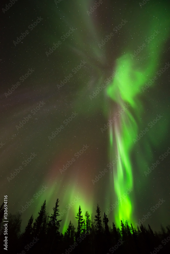 Angel of Northern Lights - Angel-shape of northern lights rise above alpine forest into the starry sky.