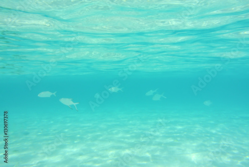 Abstract blur underwater with fishes background, Maldives.