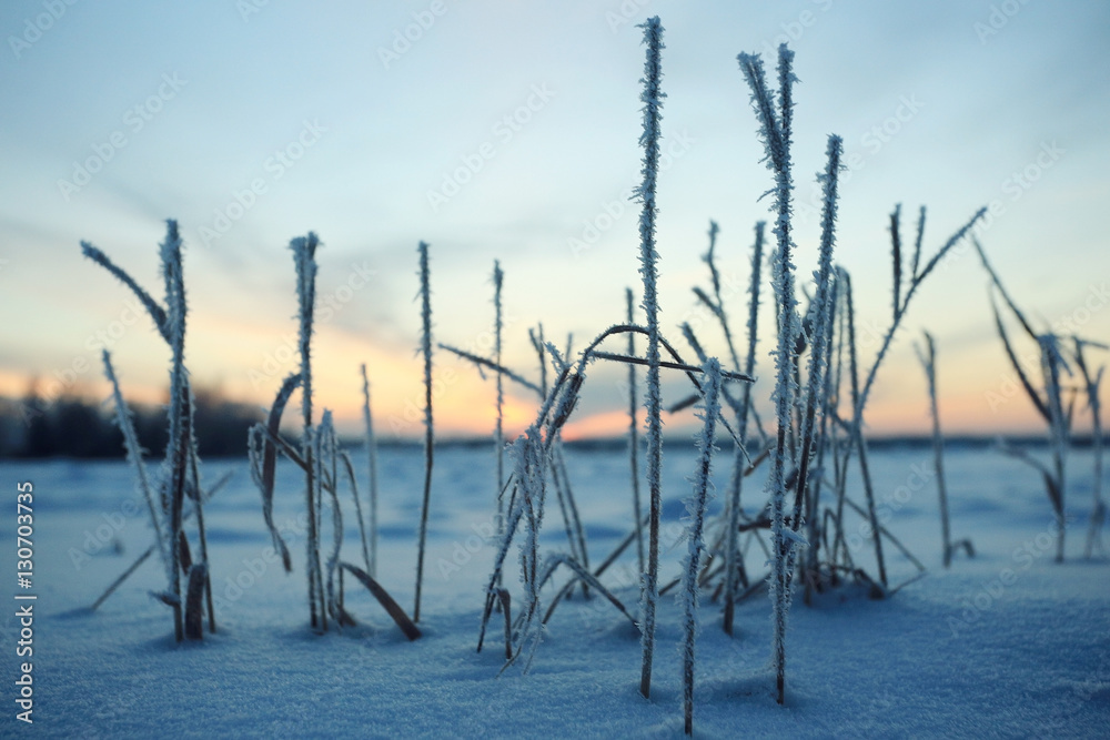 winter landscape with a horizon, field and sky