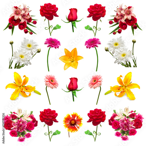 Fototapeta Naklejka Na Ścianę i Meble -  Collection flowers isolated on white background