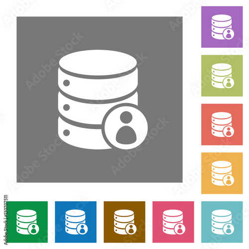 Database privileges square flat icons