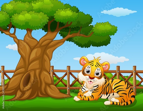 Fototapeta Naklejka Na Ścianę i Meble -  Animal tiger beside a tree inside the fence