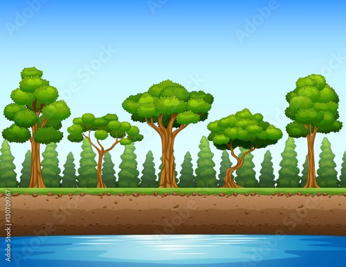 Forest background with river and underground