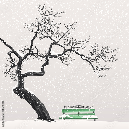 Lonely tree on a snow-covered bench