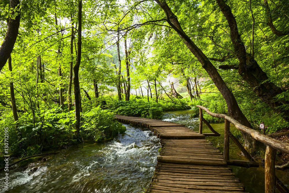 Fototapeta premium Park Jezior Plitwickich w Chorwacji