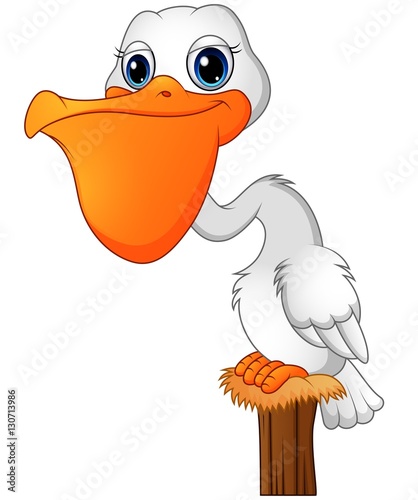 Cartoon Pelican in the bay