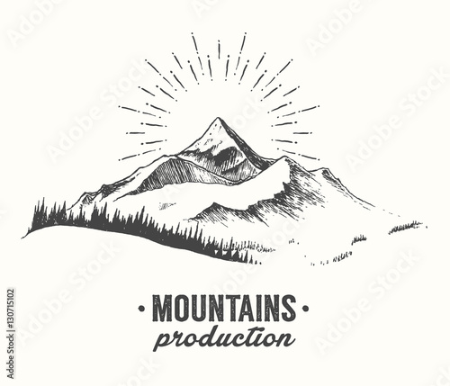 Mountains fir forest sunrise sunset drawn vector