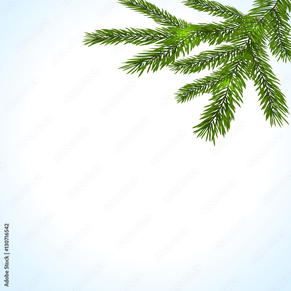 Green branches of a Christmas tree on a white background. illustration Green branches of a Christmas tree on a white background. illustration
