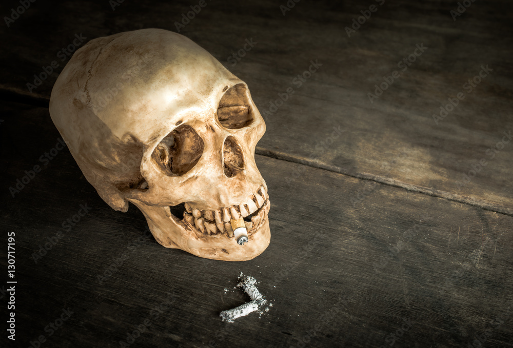 still life Skull of a Skeleton with Burning Cigarette, stop smok still life Skull of a Skeleton with Burning Cigarette, stop smok