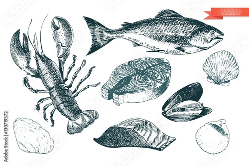 Vector hand drawn set of seafood icons. Lobster, salmon, fillet and clams. Engraved art. Delicious food menu objects.