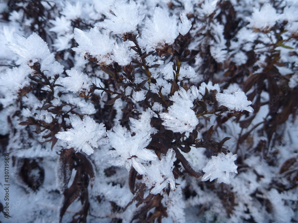 detail of beautiful frozen snow crystals detail of beautiful frozen snow crystals