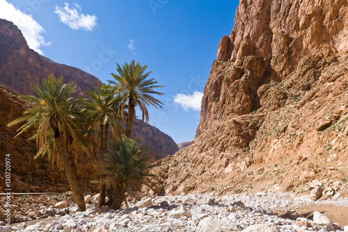 Gorges du Dades near Tinerhir, Morocco