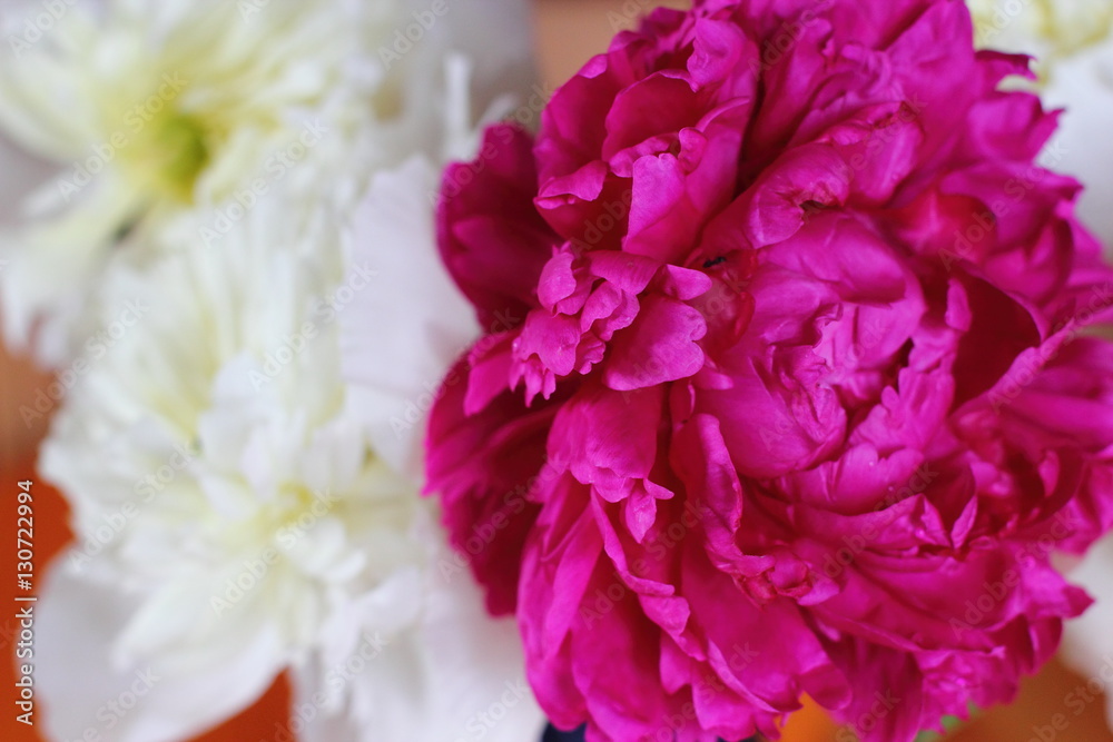 red and white peonies