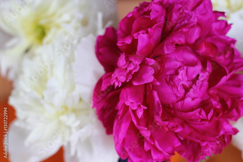 red and white peonies