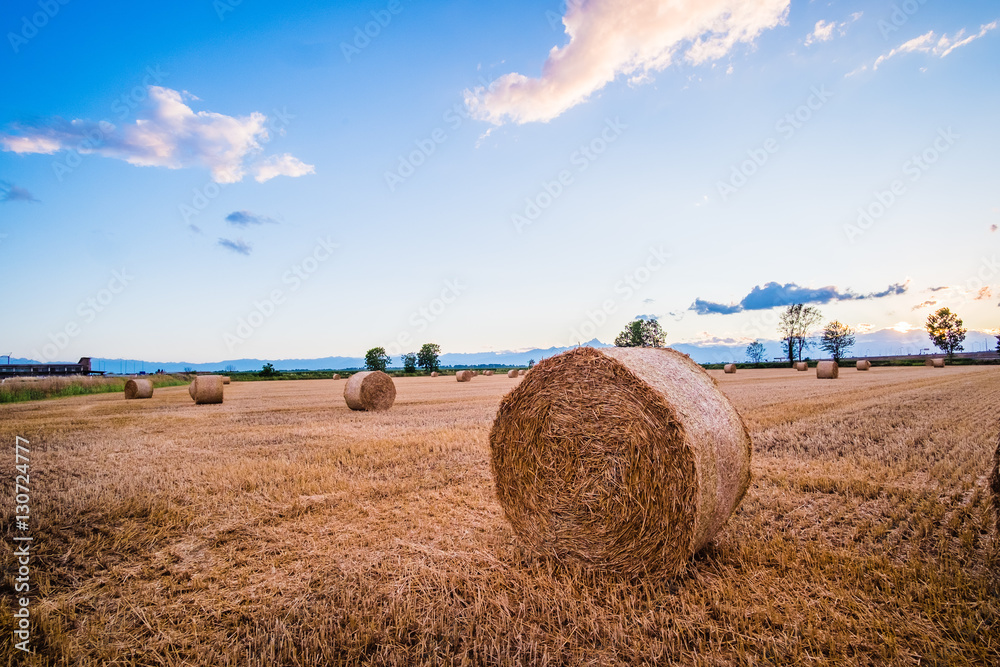 Campi di fieno al tramonto