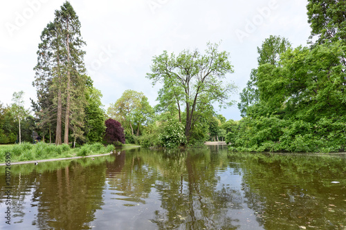 View on lake and trees with reflection at stadpark in vienna, austria