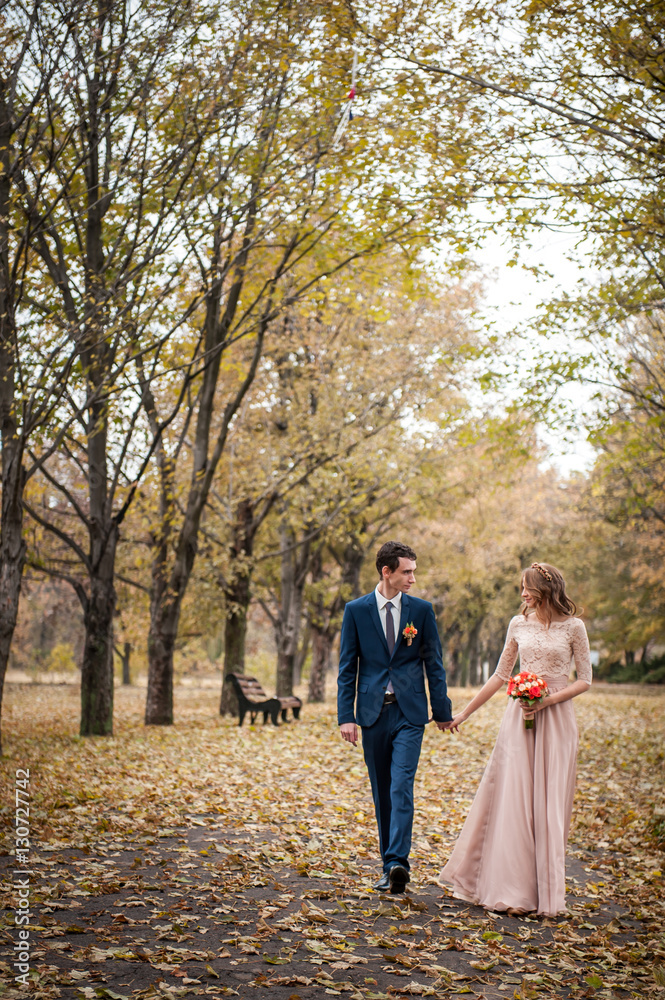 Romantic embrace of newlyweds. Couple walks in the park. Romantic embrace of newlyweds. Couple walks in the park.
