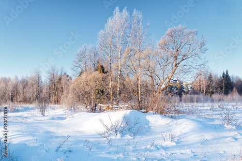 winter forest, snow, sun © Georgys