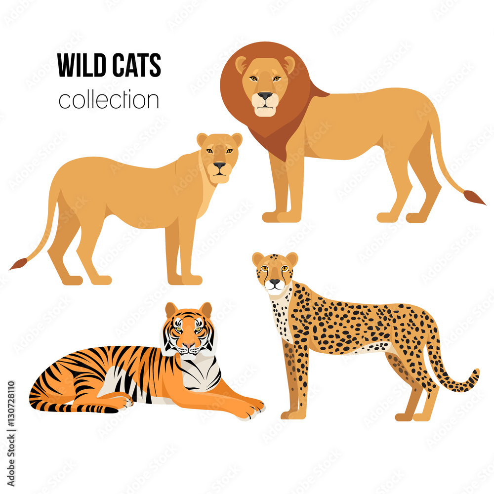 Tiger, lion, lioness, cheetah set. Vector Set of cartoon Wild Cats isolated  on white Stock Vector | Adobe Stock