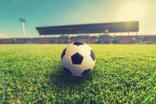 Soccer on Green grass in soccer stadium © FocusStocker