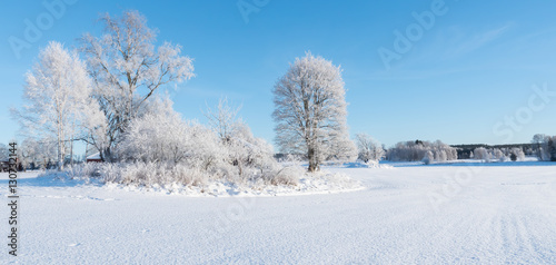  wintry landscape and tree branches covered with white frost