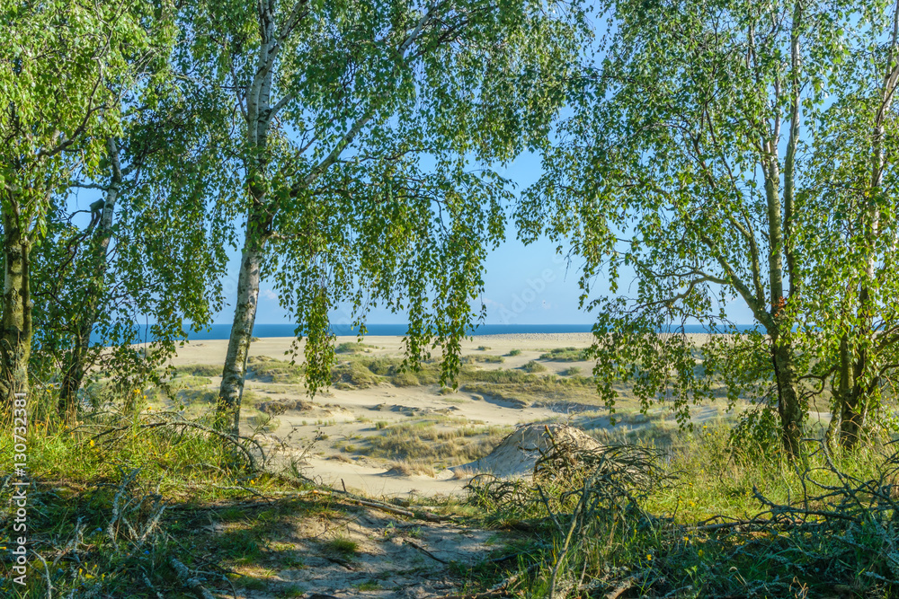RUSSIA, VILLAGE of RUSSIA, VILLAGE of