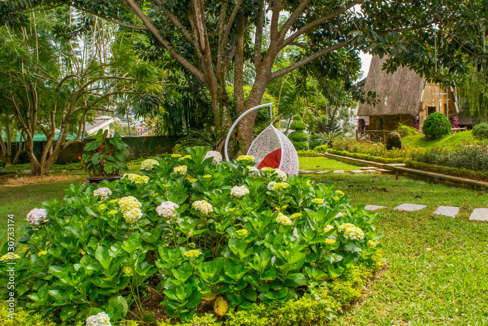 Landscape design of relax yard with hydrangea flowerbed and a chair