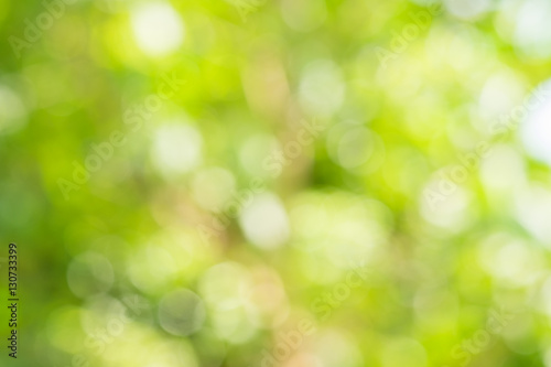 Green nature bokeh glitter defocused lights abstract background.