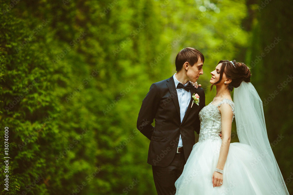 handsome and young groom and his beautiful bride standing in the handsome and young groom and his beautiful bride standing in the