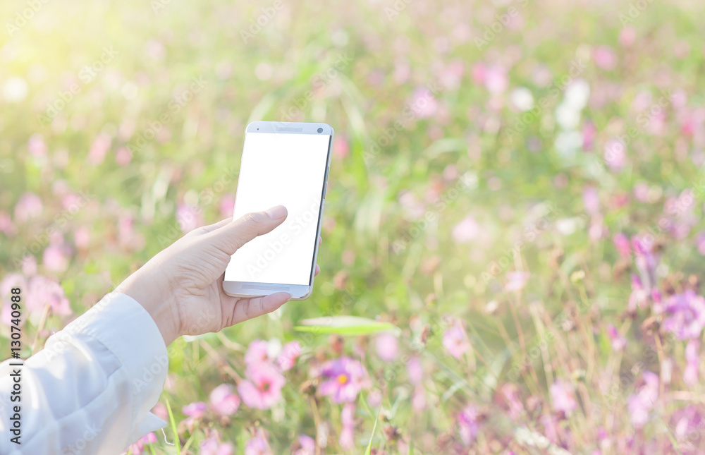 Woman's hand using smartphone on garden flowers background with sunlight