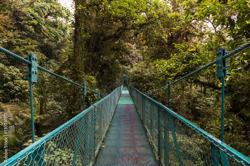 Suspended bridge over the canopy of trees in Monteverde, Costa Rica, Central America