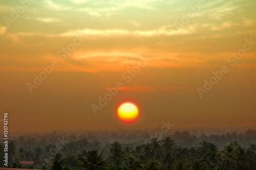 vague beckoning palm groves of India photo