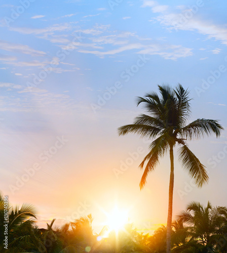 Peaceful tropical background  Sunset in the tropic