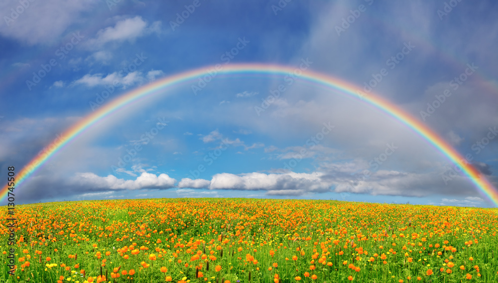 Naklejka premium Spring bloom