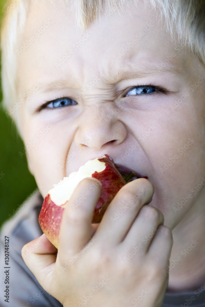 Child little blond boy eating red apple outdoor in the garden. Kids, lifestyle concept. Child eating healthy food
Child little blond boy eating red apple outdoor in the garden. Kids, lifestyle concept. Child eating healthy food