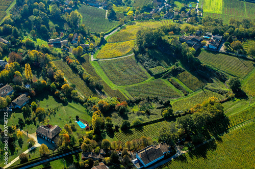 Aerial wiev Fronsac Vineyard landscape, Vineyard south west of France photo